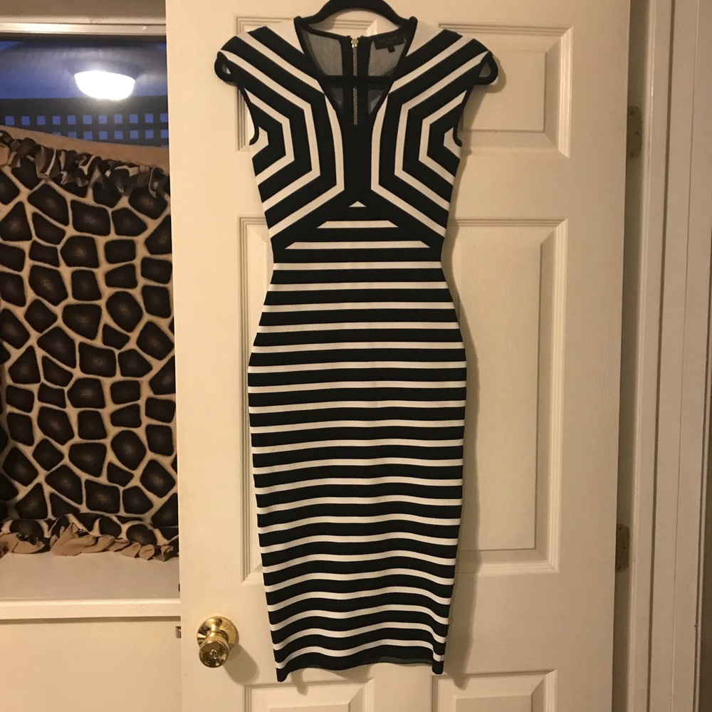 Midi Ted Baker Dress